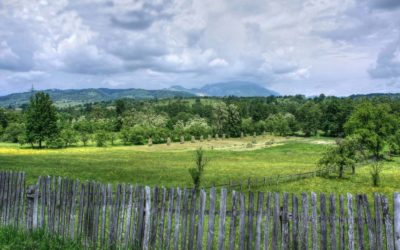 When You Own Property a Fence Won’t Determine Your Property Lines