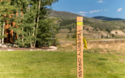 More Than Just Property Lines: The Value of a Detailed Boundary Survey.